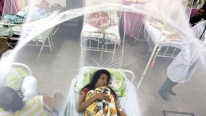 Paraguay Bersiap Hadapi Wabah Epidemi DBD yang Mematikan