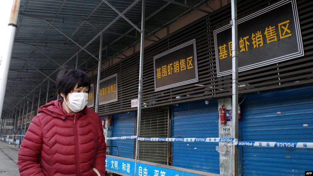 virus cina