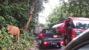 Anggota DPR RI Dapil II Sulsel Didesak Perjuangkan Pelebaran Jalan Nasional Poros Makassar-Bone