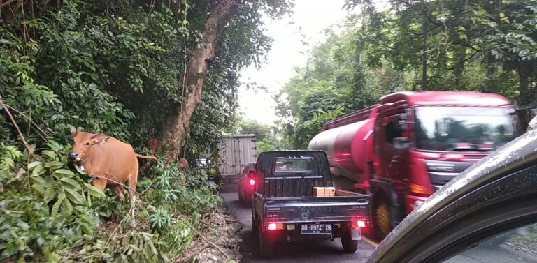 Anggota DPR RI Dapil II Sulsel Didesak Perjuangkan Pelebaran Jalan Nasional Poros Makassar-Bone 1 Jalan negara poros Makassar Bone sudah sangat mendesak dilakukan pelebaran 1