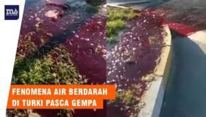 Tanah di Turki ‘Berdarah’ Pasca Gempa