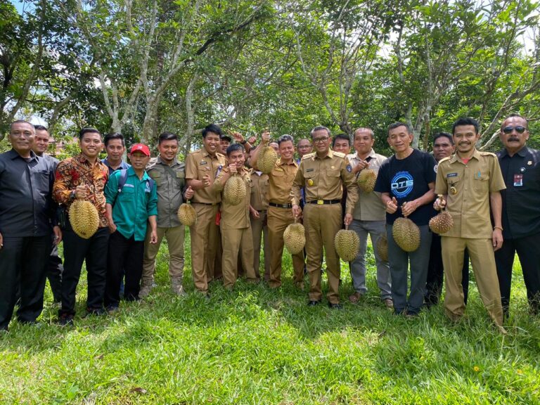 Di Sela Kunjungan Kerja, Nurdin Abdullah Sempatkan Panen Durian 5 Di Sela Kunjungan Kerja Nurdin Abdullah Sempatkan Panen Durian