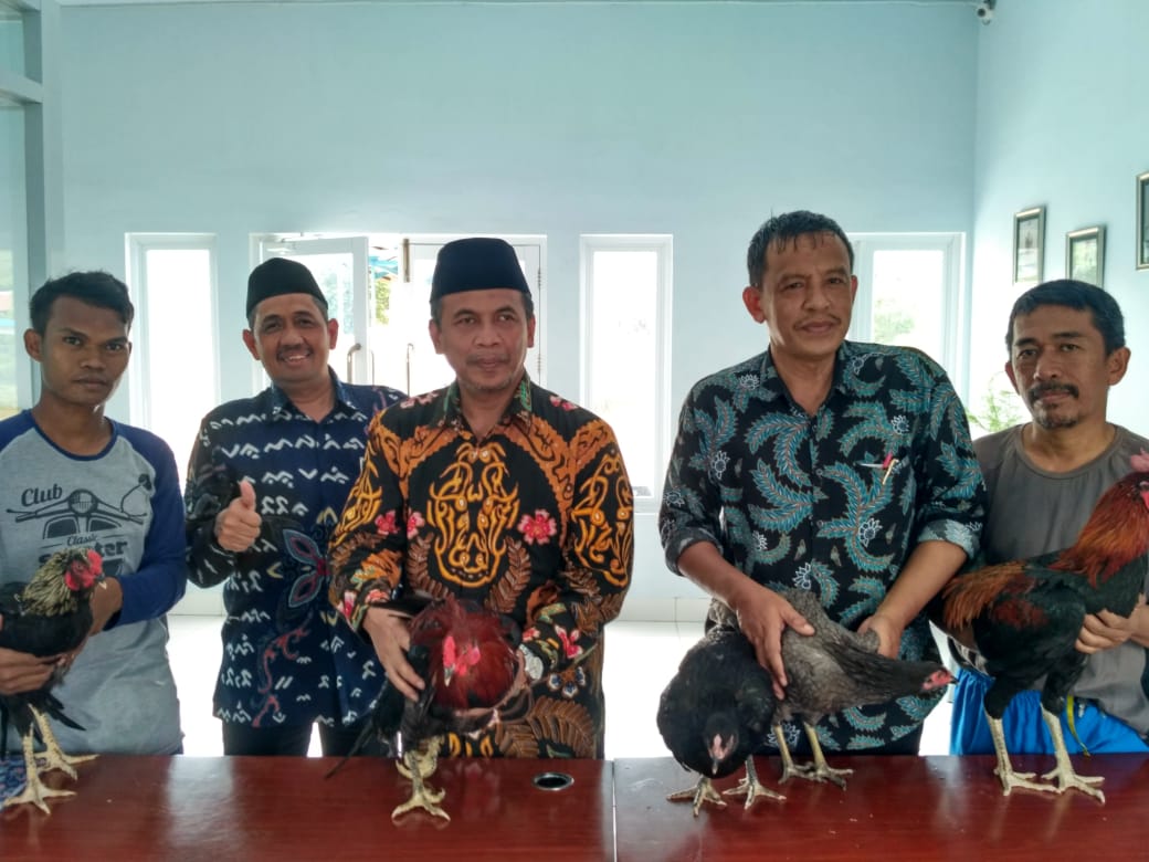 PP Muhammpadiyah Kunjungi Peternakan Ayam Kampung Unismuh Makassaar