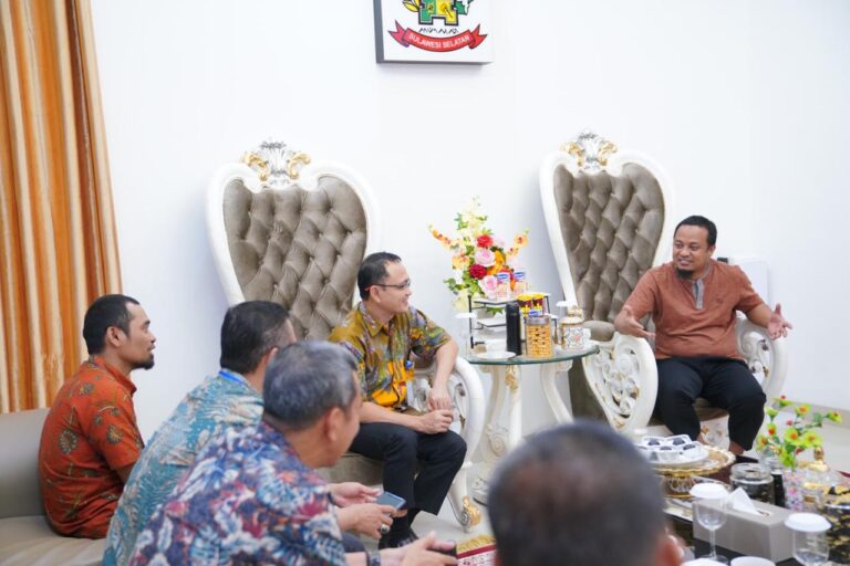 Wakil Gubernur Sulsel
