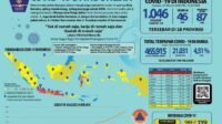Kasus Positif Covid-19 di Indonesia Tembus 1046 Jiwa, 87 Meninggal, 46 Sembuh