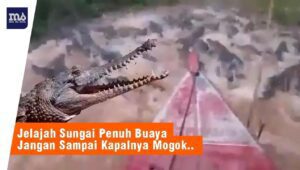 Penuh Buaya Ganas, Jelajah Sungai Ini Bisa Bikin Jantungan
