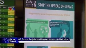 Apakah Obat Malaria Efektif Terhadap Covid-19?