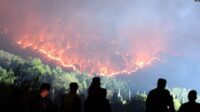 Kebakaran Hutan Melanda China, Menewaskan 19 Orang
