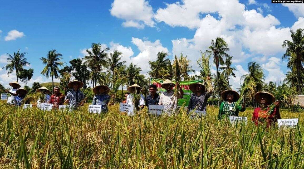 Waspadai Ancaman Krisis Pangan di Masa Pandemi Corona 2 Waspadai Ancaman Krisis Pangan di Masa Pandemi