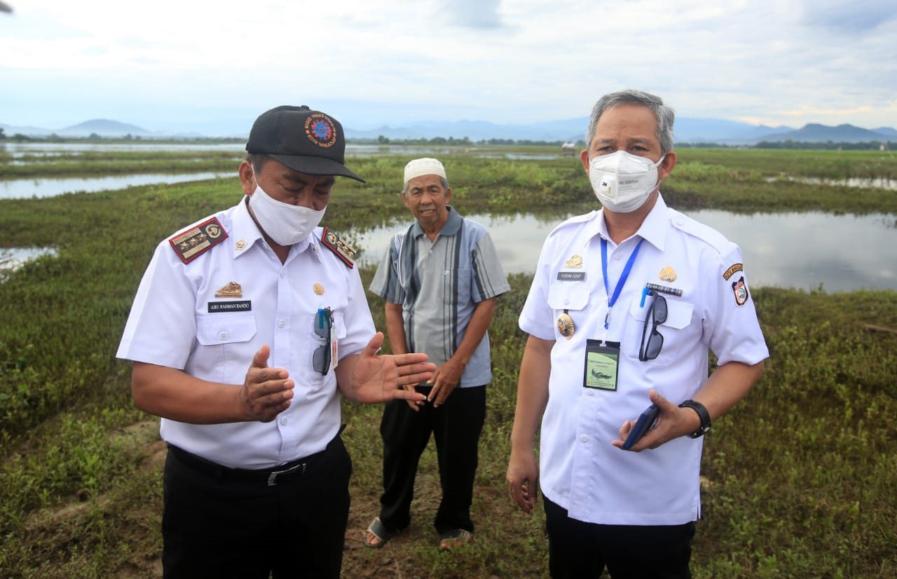 Yusran Optimis Produksi Pangan Makassar Bisa Meningkat