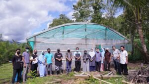 Wagub: Greenhouse konsep pertanian alternatif dalam menjaga ketahanan pangan