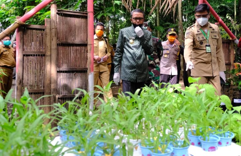 Gubernur Resmikan Kampung Ewako dan Serahkan Bantuan Rapid Test dan APD 3 Gubernur Resmikan Kampung Ewako dan Serahkan Bantuan Rapid Test dan APD 2