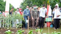 Mentan RI Tinjau Progam P2L di Desa Borong Pa’la’la Gowa
