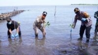 Wagub Sulsel: Menanam Mangrove dapat Mencegah Banjir