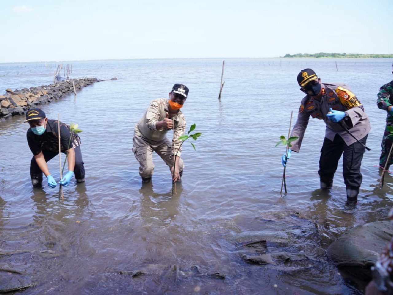 Wagub Sulsel Menanam Mangrove dapat Mencegah Banjir