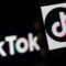 Logo TikTok di layar sebuah ponsel 13 April 2020