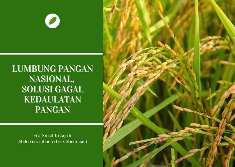 Lumbung Pangan Nasional, Solusi Gagal Kedaulatan Pangan 3 Lumbung Pangan Nasional Solusi Gagal Kedaulatan Pangan