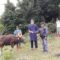 WhatsApp Image 2020 07 31 at 16.53.52