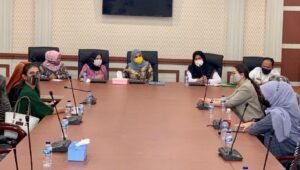 Kaukus Parlemen Perempuan Perkuat Program DP3A Dalduk KB Sulsel