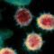 virus corona D614G