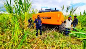 Kasus Pembuatan Jalan di Kawasan Suaka Margasatwa Ko’mara Dinyatakan P21