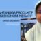 Rumahtangga Produktif Solusi Ekonomi Negatif