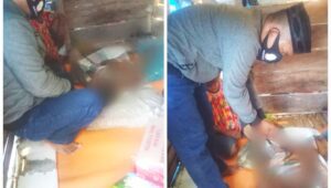 Nenek Penderita Tumor Tinggal di Gubuk Bekas Kandang Kambing, Wagub Kirim Tim Serahkan Bantuan