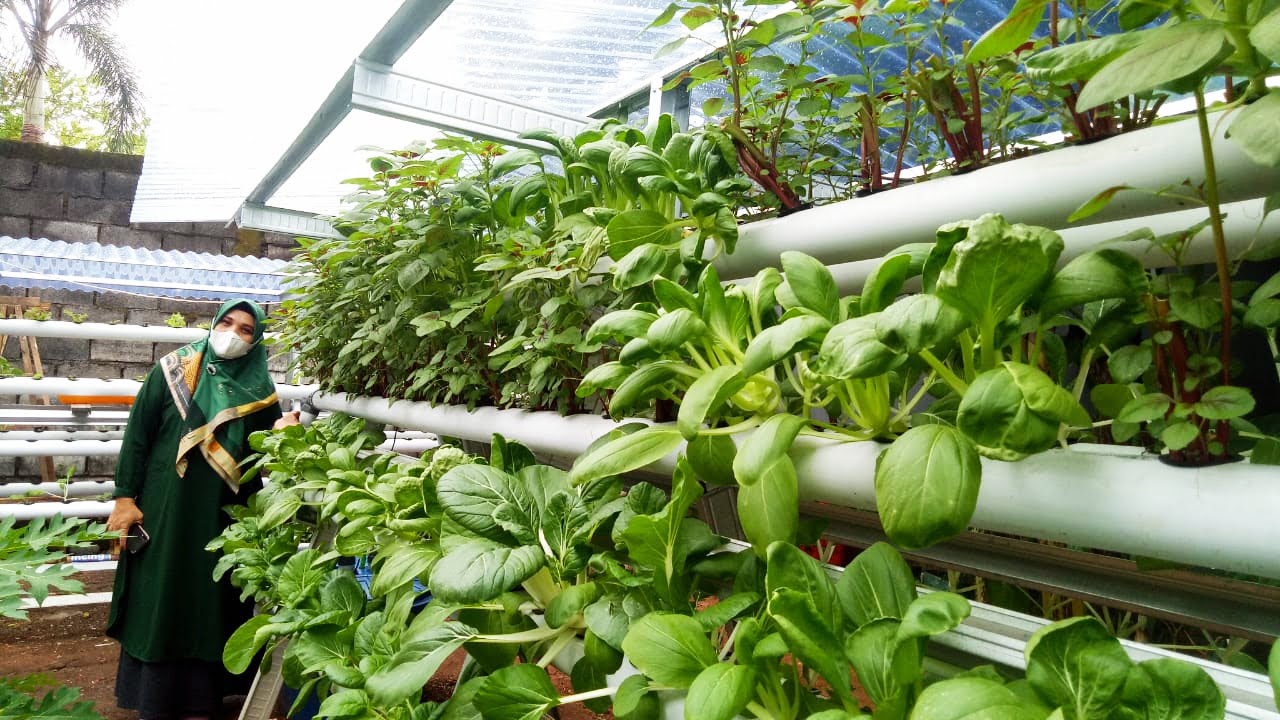 Naoemi Octarina Dorong Gerakan Sayur Bebas Pestisida