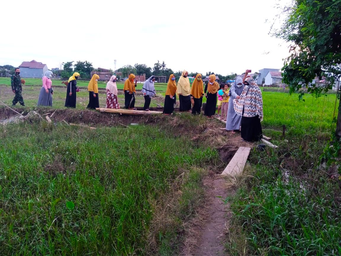 Meski Telusuri Pematang Sawah, Permata Birma Tetap Semangat Bagikan Bantuan