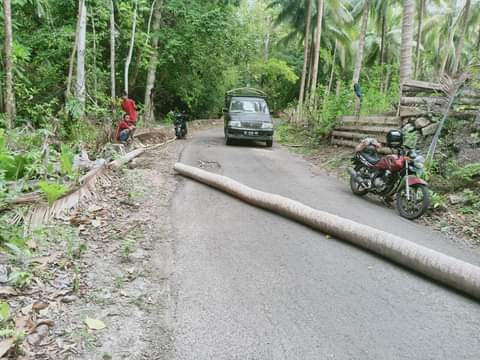 WhatsApp Image 2020 12 13 at 00.28.26