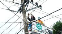 Percepat Pemulihan Listrik Pasca Gempa Sulbar, PLN Terjunkan 178 Personil