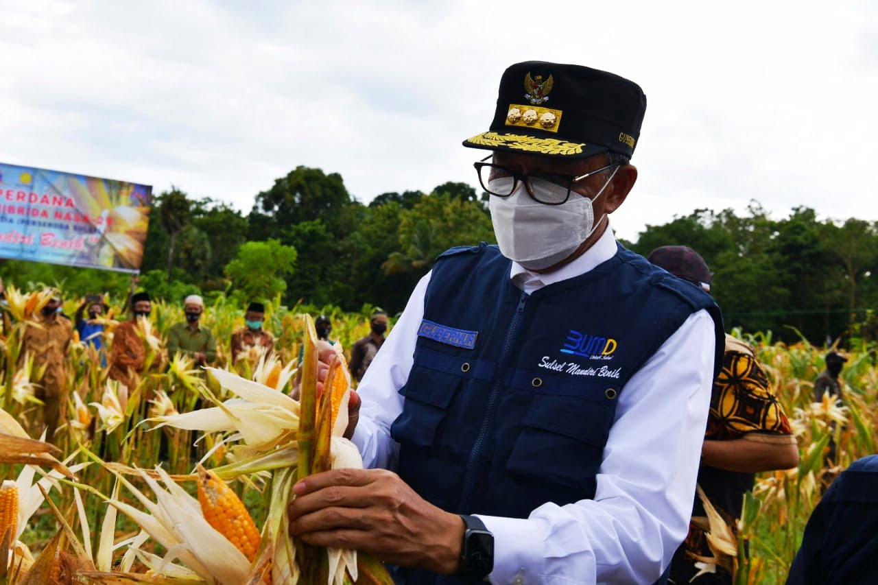 Gubernur Gandeng Perseroda-Bank Sulselrabar Atasi Persoalan Petani Sulsel