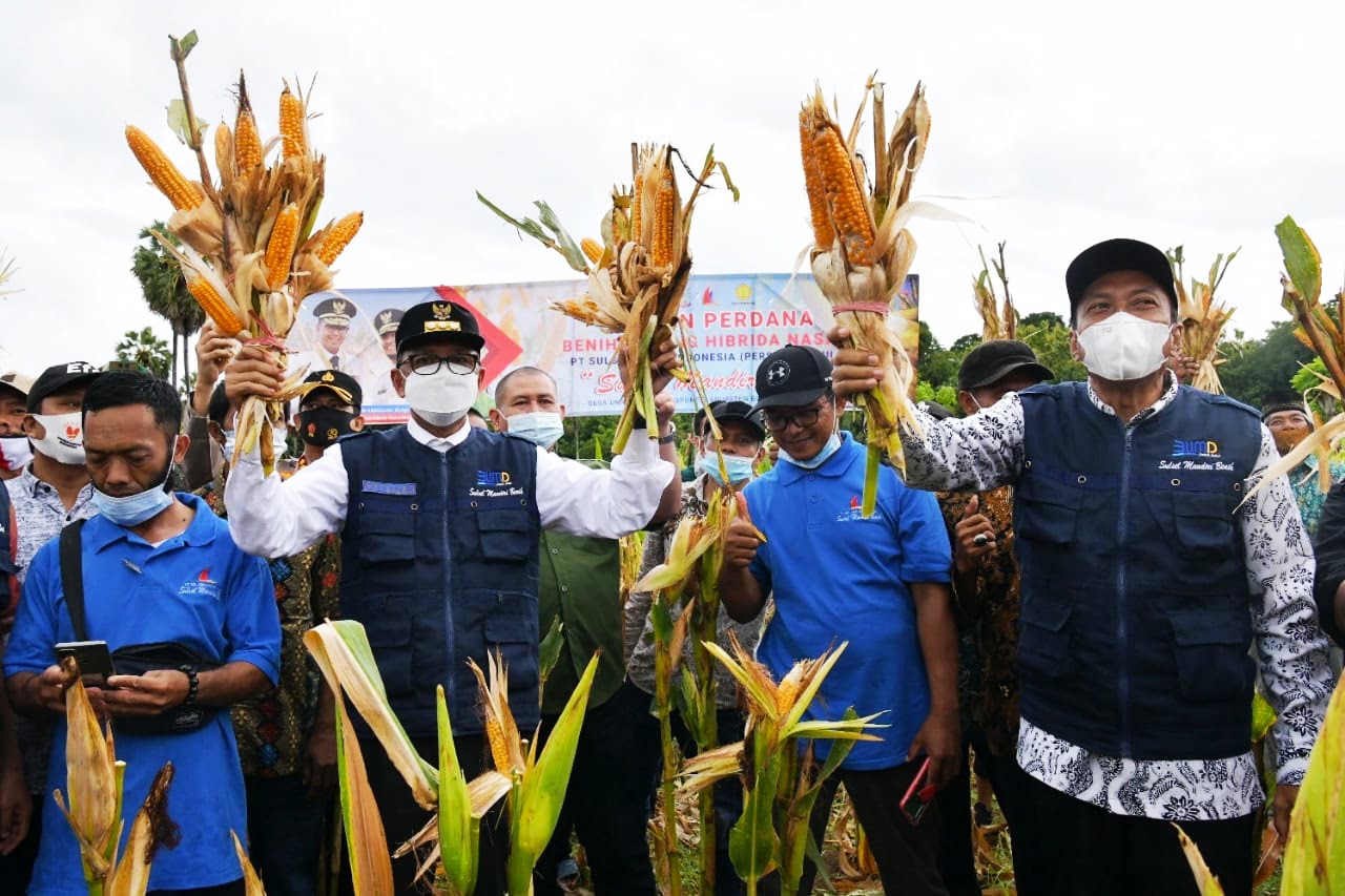 Gubernur Gandeng Perseroda-Bank Sulselrabar Atasi Persoalan Petani Sulsel