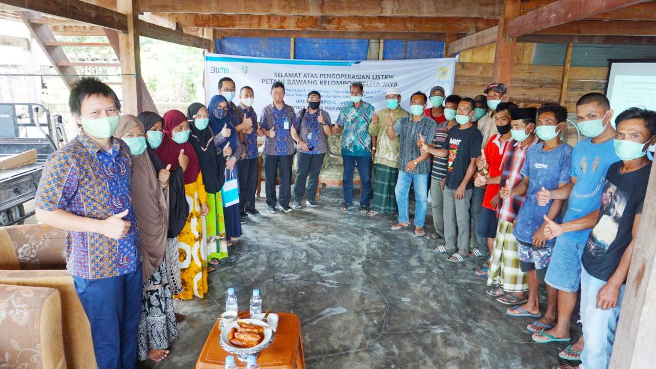 Electrifying Agriculture, Listrik untuk Basmi Hama Petani Bawang