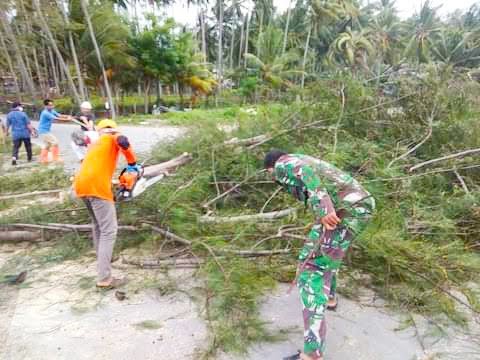 BPBD Selayar Rutin Lakukan Penanganan Pohon Tumbang