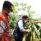 PLN Dongkrak Penghasilan Petani Buah Naga Lewat Program 'Cahaya untuk Sang Naga'
