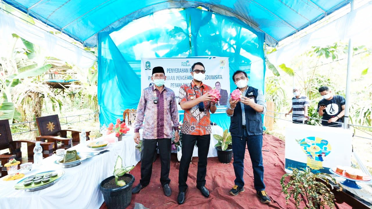 PLN Dongkrak Penghasilan Petani Buah Naga Lewat Program 'Cahaya untuk Sang Naga' 2 PLN Dongkrak Penghasilan Petani Buah Naga Lewat Program 'Cahaya untuk Sang Naga'