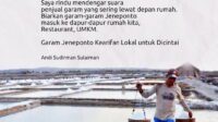 Plt Gubernur Sulsel Dorong Penggunaan Garam Jeneponto