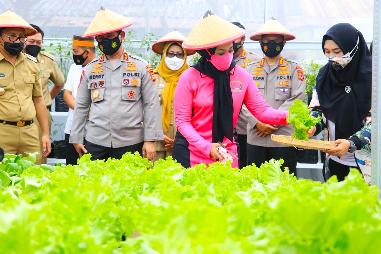 Kapolda Sulsel Resmikan Pekarangan Pangan Lestari dan Rumah Bibit Kelompok Wanita Tani Anging Mamiri