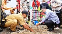 Upaya Pencegahan Bencana, Plt Gubernur Inisiasi Perda Penebangan Pohon