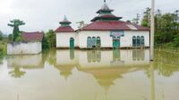 322 Rumah Terendam Banjir di 4 Dusun di Lutra, Plt Gub Sulsel Instruksikan BPBD Salurkan Bantuan