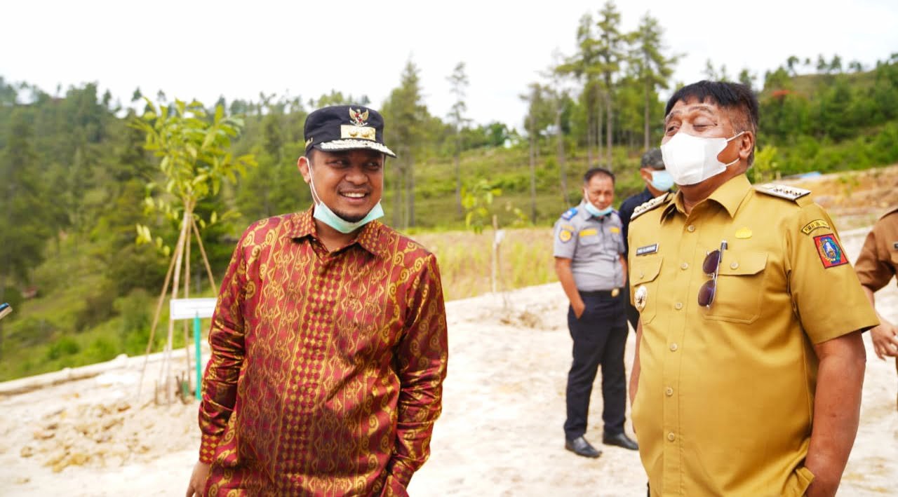Kunjungi Area Penghijauan Sepanjang Jalan Bandara Buntu Kunik, Pohon Mahoni yang Ditanam Plt Gubernur Sebulan Lalu Tumbuh