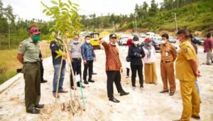 Kunjungi Area Penghijauan Sepanjang Jalan Bandara Buntu Kunik, Pohon Mahoni yang Ditanam Plt Gubernur Sebulan Lalu Tumbuh