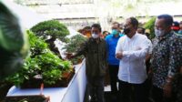 Hadiri Pameran Bonsai Nasional, Wali Kota Danny Takjub Melihat Seni Bernilai Ekonomi Tinggi