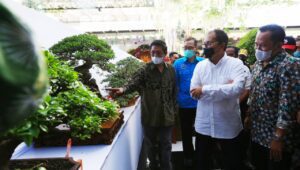 Hadiri Pameran Bonsai Nasional, Wali Kota Danny Takjub Melihat Seni Bernilai Ekonomi Tinggi