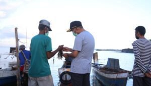 Menko PMK Dorong Pemberdayaan Petani Rumput Laut di Bulukumba