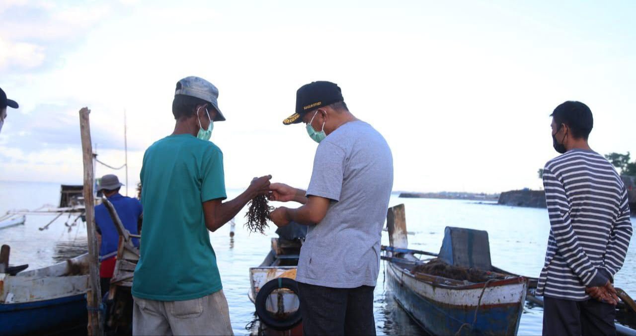 Menko PMK Dorong Pemberdayaan Petani Rumput Laut di Bulukumba