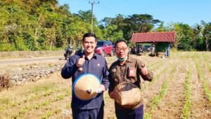 Kadis Pertanian Sulsel Tanam Kacang Ijo bersama Bupati Pangkep