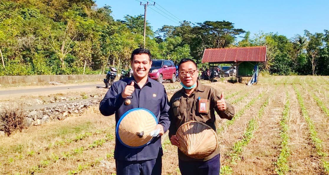 Kadis Pertanian Sulsel Tanam Kacang Ijo bersama Bupati Pangkep