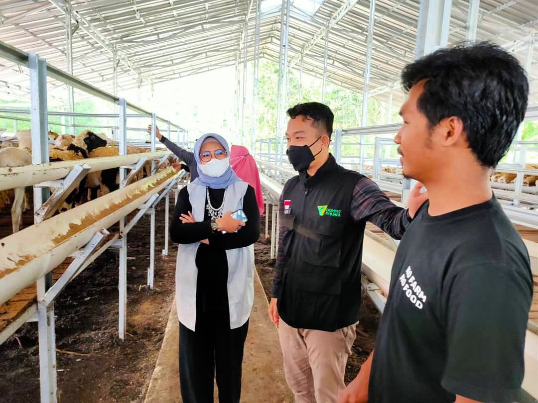 Dompet Dhuafa Targetkan 52 Ribu Hewan Kurban Tahun Ini